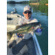 SteelShad XL Bait, 3/4 Oz, Gold, SSL-10013