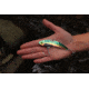SteelShad XL Bait, 3/4 Oz, Perch / Firetiger, SSL-10015
