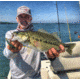 SteelShad XL Bait, 3/4 Oz, Perch / Firetiger, SSL-10015