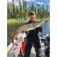 SteelShad XL Bait, 3/4 Oz, Perch / Firetiger, SSL-10015