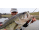 SteelShad XL Bait, 3/4 Oz, Silver/Chrome, SSL-10012