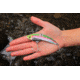 SteelShad XL Bait, 3/4 Oz, Trout, SSL-10016