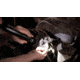 Streamlight Stinger Rechargeable LED Flashlight with AC Steady Charger 75711