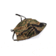 Strike Industries Mask Sleeve With Head Loop, Tigerstripe Camo, One Size, SI-TIGERMASKSLEEVE