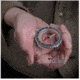 Survive Outdoors Longer Map Compass, Clear, 0140-0026
