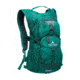TETON Sports Oasis 18L Hydration Pack with 2L Bladder, Deep Teal, 2101SCDT