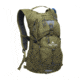 TETON Sports Oasis 18L Hydration Pack with 2L Bladder, Olive, 2101SCOL