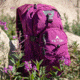 TETON Sports Oasis 18L Hydration Pack with 2L Bladder, Plum, 2101SCPL