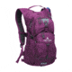 TETON Sports Oasis 18L Hydration Pack with 2L Bladder, Plum, 2101SCPL