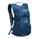 TETON Sports Oasis 22L Hydration Pack with 3L Bladder, Venice, 2102SCVC