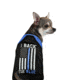 Thin Blue Line Dog Shirt - - DOG-TBL-M