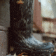 Thorogood Infinity Fd Rubber Shoes - Mens, Mossy Oak Bottomlands, 10, Medium, 867-0100 10 M