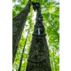 Timber Ninja C2 Carbon Climbing Sticks 1103157