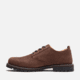 Timberland Redwood Falls Lace-Up Waterproof Shoe - Mens, Dark Brown Nubuck, 14, Medium, TB0A699PW0714000M