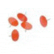 Trophy Treestands Reflective Tacks, Orange, TA935