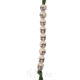 5Star Klick Counter, Ranger Ivory Skull Bead 4595000