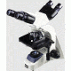 UNICO IP758 Infinity Series Dual Binocular Microscope