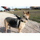 United States Tactical Dog Harness, Black, Medium UST-K9H00101M