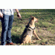 United States Tactical K9 Harness, Black, Medium, UST-K9H00101M