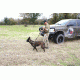 United States Tactical Dog Harness, Coyote, Medium UST-K9H00102M