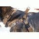 United States Tactical Dog Harness, Coyote, Medium UST-K9H00102M
