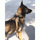 United States Tactical Dog Harness, Coyote, Medium UST-K9H00102M