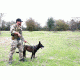 United States Tactical Dog Harness, Olive Drab, Medium UST-K9H00103M
