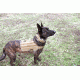 United States Tactical Dog Receiver Collar, Coyote, Medium UST-K9C00202M