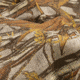 Vanish Camo Burlap, Natural/Grain Belt, 54 in x 12 Foot, 25335