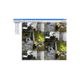 Video Insight Ip Camera Software With 4 Cameras On One Server
