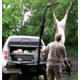 Viking Solutions Rack Jack ll - Hitch Mounted Game Hoist VKS-VRJ201