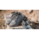 Viktos PTXF Core 2 Tiger Stripe Shoe - Mens, Grey Camo, 9, 1004804