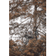 Vortex Razor UHD 10x32mm Binocular, Green, 9.37x8.25x4.75, RZB-1032