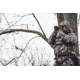 Vortex Razor UHD 10x32mm Binocular, Green, 9.37x8.25x4.75, RZB-1032