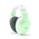 Walkers Youth, 3-7 years Old, Passive Ear Muff, 22 db NRR, Mint GWP-YM-MNT