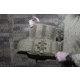 War Bird Foray Plate Carrier, Ranger, Small-Medium, PCFORGSMMD