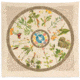 Wazoo Survival Gear Bandana Foraging Reference, Designed in cooperation with some of the finest fo, BANDANA FORAGING FR