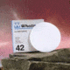 Whatman Grade No. 42 Quantitative Filter Paper, Ashless, Whatman 1442-042