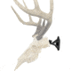 Wicked North Gear The Hang Up European Mounting Bracket, Black, B801-A011