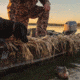 WILDFOWLER Hunting Grass Mats 4x8 ft, Tan, 4X8, WFO398