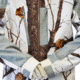 Wildfowler Soft Shell Mens Jacket, Wildtree Snow, Extra Large, S1681-WTS-XL