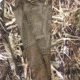 Wildfowler Waterporoof Power Parka - Men's, Wildgrass, Extra Large, 8147WG-XL