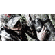 Wildgame Innovations Mirage Trail Camera, 22 MP, Blackout, Camo, WGI-WGICM0709