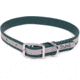 Winchester Pet Core D Ring High Visibility Reflective Collar with Name Plate, Deep Teal, M/L, KB-DRC-DT-M/L-NP-1