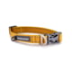 Winchester Pet Signature Ombre Dog Collar, Hawaiian Sunset, S, WP-WC-HS-S-1