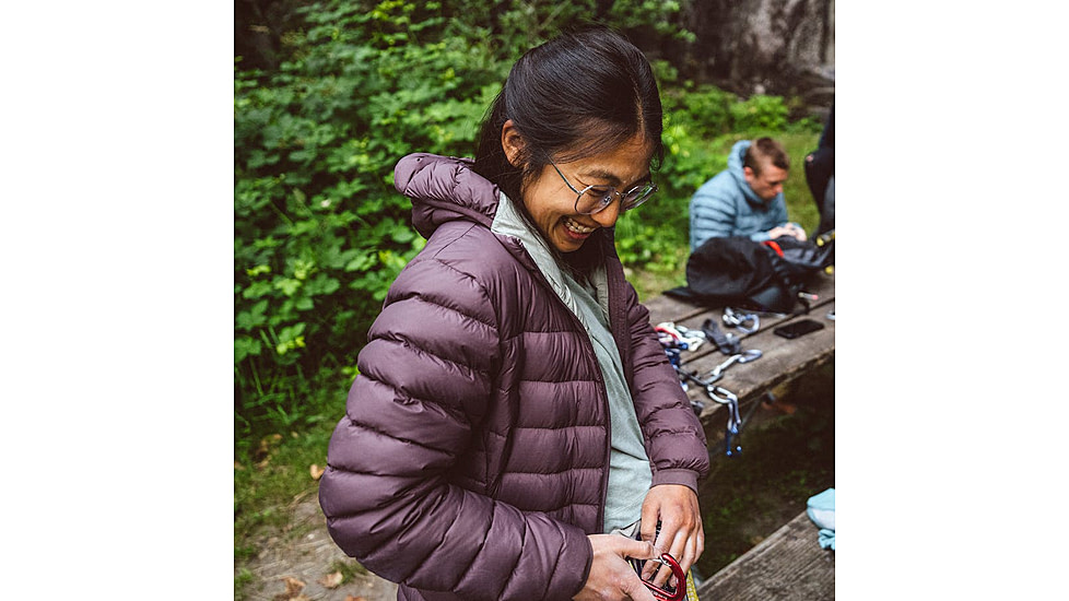 Black Diamond Access Down Hoody - Womens, Fig, Large, AP7440976052LRG1