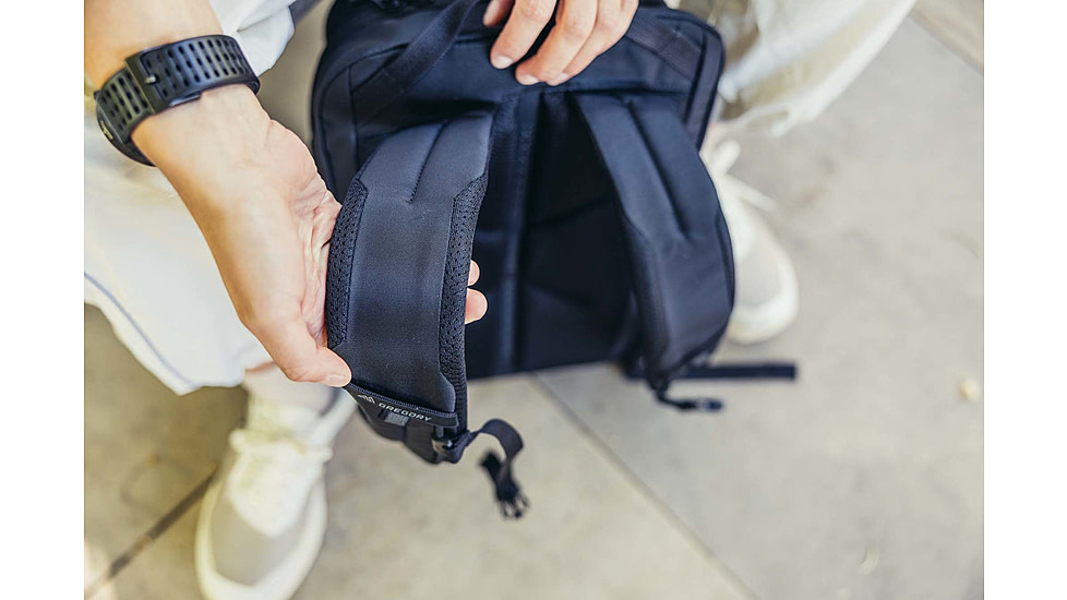 Gregory Terros 20L Backpack