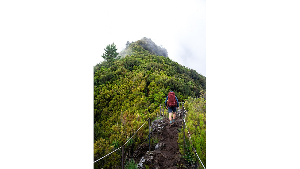 Gregory Paragon 60L Backpack - Mens, Cascade Green, Medium/Large, 152342-8884