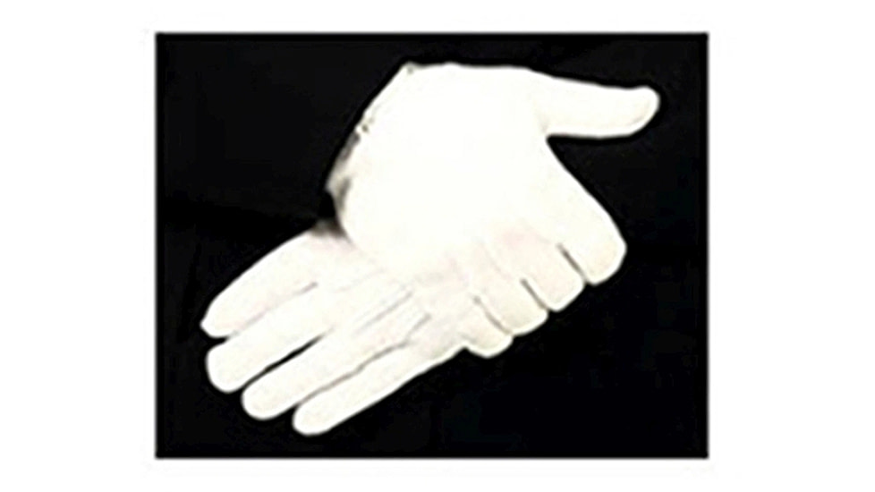HEROs PRIDE Raised Pointing Parade Slip-On Gloves - Mens, White, Large, 8772W-L