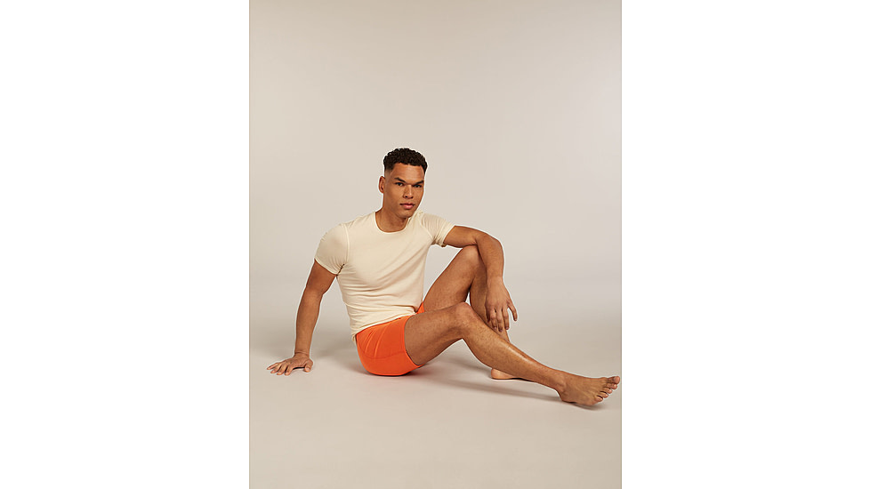 Icebreaker Merino 150 Anatomica Boxers wFly - Mens, Fervid, Large, IB1030300GTL